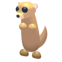 Roblox Adopt Me Meerkat pointer