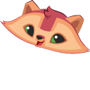 Animal Jam Raccoon and Rainbow Raccoon pointer