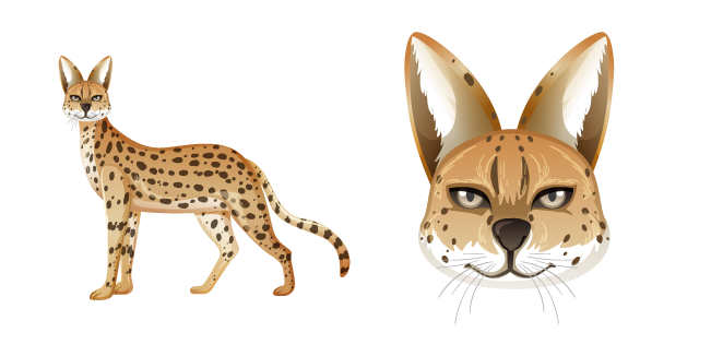 African Serval