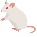 Albino Mouse pointer