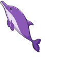 Amazon Pink River Dolphin pointer