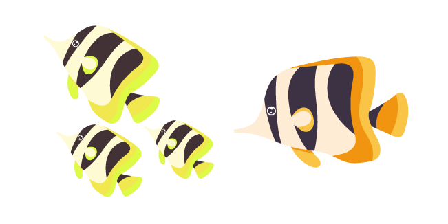 Angelfish