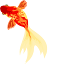 Aquarelle Goldfish pointer