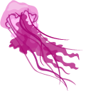 Aquarelle Jellyfish pointer