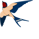 Barn Swallow pointer