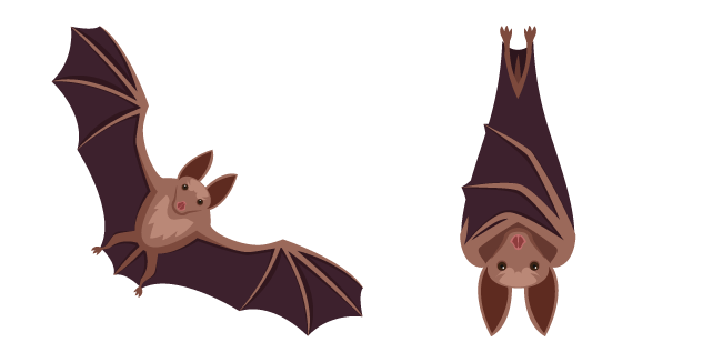 Bat