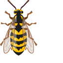 Bee cursor