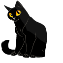 Black Cat pointer