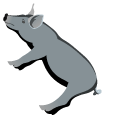 Black Iberian Pig pointer