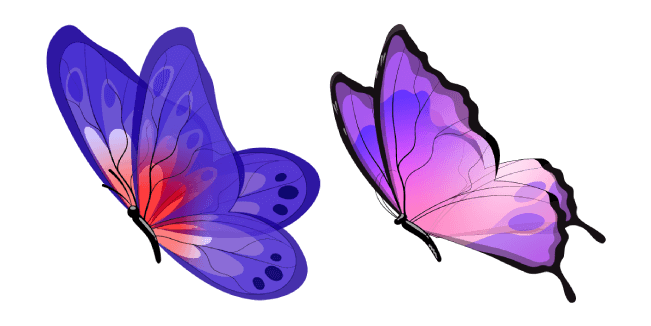 Blue and Purple Butterfly