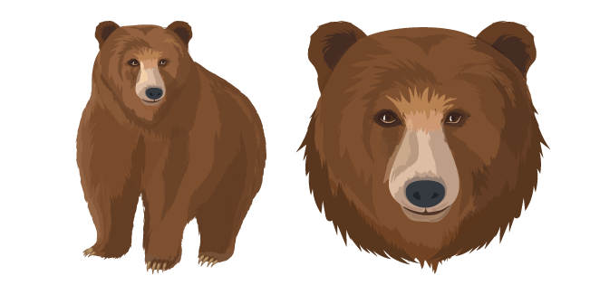 Brown Bear