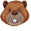 Brown Beaver pointer