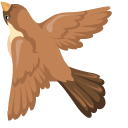 Brown Sparrow pointer