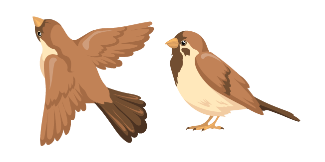 Brown Sparrow