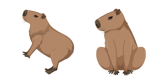 Capybara