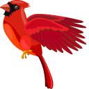 Cardinal pointer