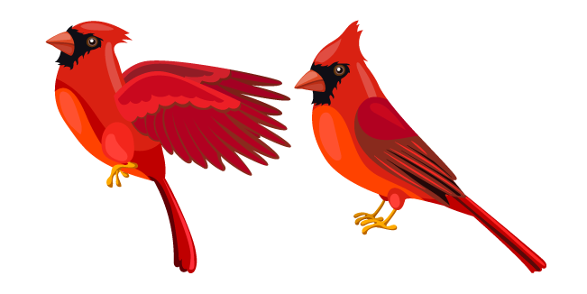 Cardinal