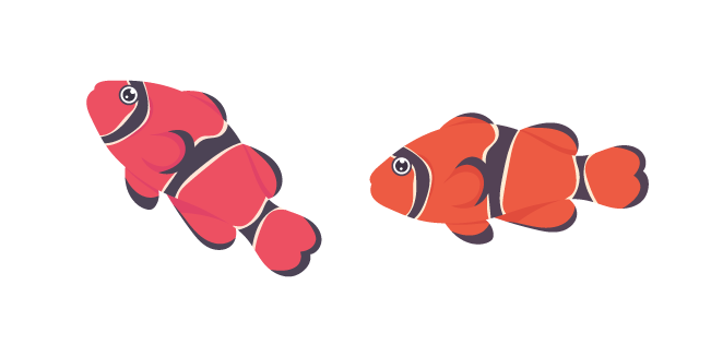 Clownfish