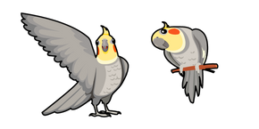 Cockatiel