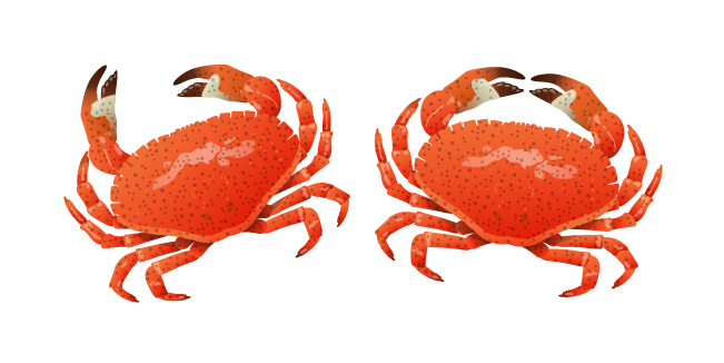 Crab