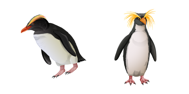 Crested Penguins