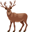 Deer pointer
