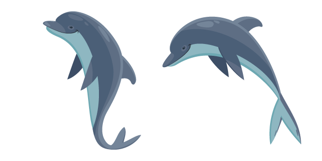 Dolphin