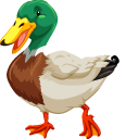 Duck cursor