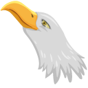 Eagle pointer
