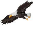 Eagle cursor