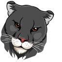 Fierce Black Panther pointer