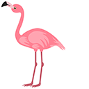Flamingo pointer