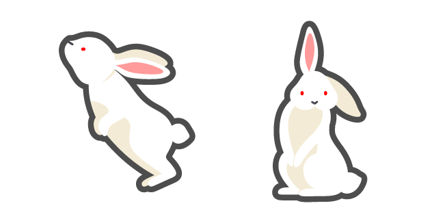 Florida White Albino Rabbit