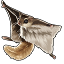 Flying Squirrel pointer