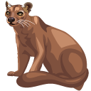 Fossa pointer