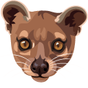 Fossa cursor
