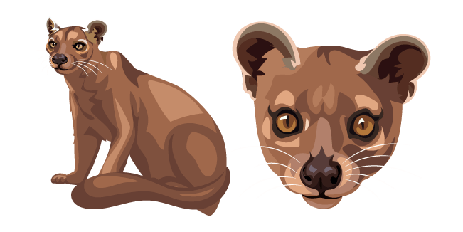 Fossa