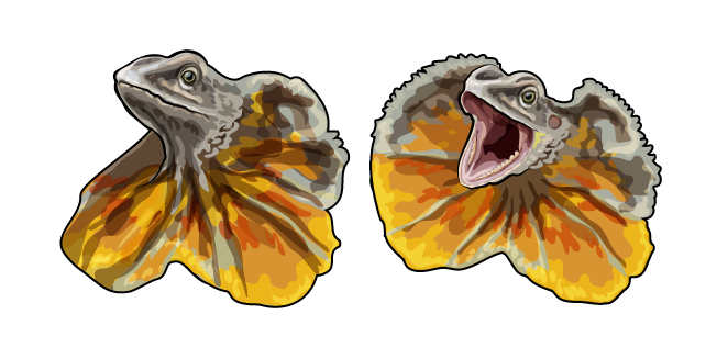 Frilled Lizard