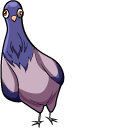 Funny Pigeon pointer