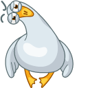 Funny Seagull pointer