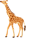 Giraffe pointer