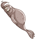 Gray Fur Seal pointer