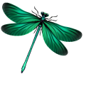Green and Blue Dragonflies pointer