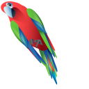Green-Winged Macaw pointer