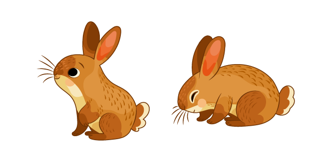Hare