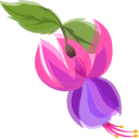 Hummingbird and Fuchsia Flower cursor