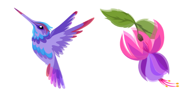 Hummingbird and Fuchsia Flower