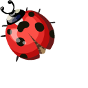 Ladybug pointer