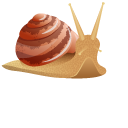 Land Snails cursor