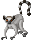 Madagascar Lemurs cursor